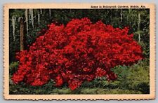 Mobile Alabama Bellingrath Gardens Scenic Flower Bush Linen UNP Postcard picture