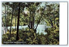 c1910's Owasco River Near Auburn Scene Auburn New York NY Unposted Postcard picture