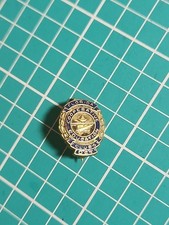 Vtg Florida Clubs Cooperative Education Gold Tone Lapel Pin picture