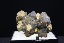 Anatase on Magnetite / Thumbnail Mineral Specimen / Perovskite Hill, Arkansas picture