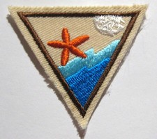 Girl Scout Brownie MARINE LIFE TRY-IT Shell Sea Water Council Own Badge Patch picture