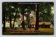 Reelfoot Lake TN-Tennessee, Section Of Picnic Area Vintage Souvenir Postcard picture