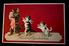 Fantasy~Mama Cat & Baby Cats Kittens Anthropomorphic 1910~Greeting Postcard~k390 picture