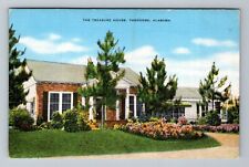 Theodore AL-Alabama The Treasure House Gardens Rare Art Vintage Postcard picture