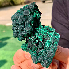 119G Natural glossy Malachite cat eye transparent cluster rough mineral sample picture