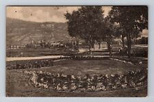 Raton NM-New Mexico, Ripley Park, Vintage Postcard picture