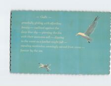 Postcard Sea Gulls picture