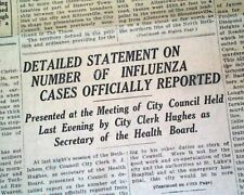 SPANISH FLU H1N1 Deadly Influenza A Virus Pandemic Outbreak 1918 Old Newspaper picture