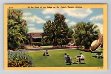 Tuscan AZ-Arizona, Patio the Lodge on the Desert, Vintage Postcard picture