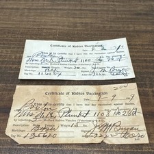 Vintage Antique 1930s Lot Of 2 Dog Rabies Vaccination Record Card Vet Ephemera picture