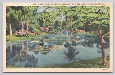 Vero Beach Florida, McKee Jungle Gardens Tropical Scenery, Vintage Postcard picture