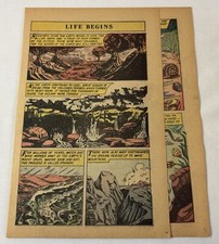 1959 four page cartoon story ~ BEGINNING OF LIFE ON EARTH picture