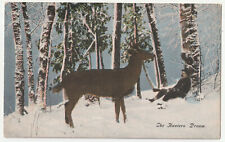 c1900’s Sleeping Hunter’s Dream Buck Snow Forest Deer Hunting VTG Postcard picture