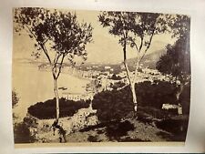 Italy  Capri Grotta Azzura , Sorrento With Olive Trees Albumen (2) picture