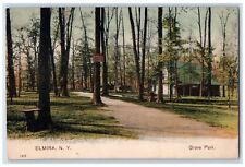 c1905 Grove Park Trees Pathway Shop Elmira New York PCK Vintage Antique Postcard picture