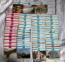 Editions Rencontre 1970s Behavior Friends Enemies Educational Animal Index Cards picture