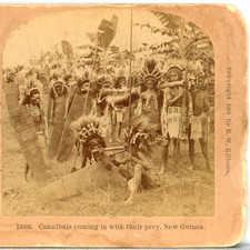 NEW GUINEA, Cannibals Coming In With Their Prey--Kilburn Stereoview A201 picture