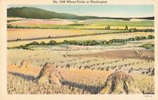 Seattle WA Washington, Wheat Fields in Washington, Vintage Postcard picture