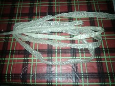 snake shed for your art or to pull a trick on people or your snake picture