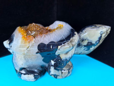 Volcano Agate Tortoise Turtle Carving Carnelian Geode STRONG UV | 13.49 LB picture