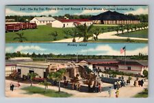 Sarasota FL-Florida Winter Home Ringling Bros. Monkey Island Vintage Postcard picture