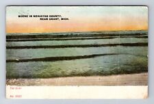 Grant MI-Michigan, Scene In Newaygo County, Scenic View, Surf Vintage Postcard picture