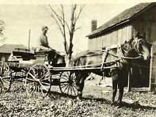 O8 Photograph Artistic Horse And Carriage Barn Farm Country 1910-20's  picture