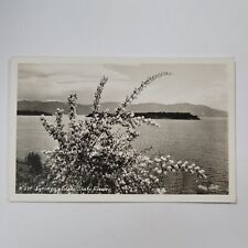 RPPC Idaho State Flower Syringa Ross Hall 1940s Postcard Flowers Lake Mountains picture