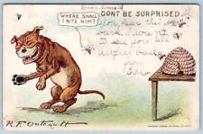 1906 DOGS BEES BEEHIVE*WHERE SHALL I BITE HIM?*OUTCAULT*J OTTMANN LITHO POSTCARD picture