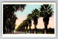 Riverside CA-California, Magnolia Avenue, Antique, Vintage Souvenir Postcard picture