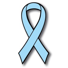 Aqua Prostate Cancer Awareness Ribbon Car Magnet Decal Heavy 3.5" x 7" picture