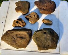Lot Of Mudfossil Found Arkansas Mississippian Rocks Stone Bird Turtle Mud Fossil picture