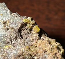 WULFENITE with Mimetite - Stevenson-Bennett Mine, Doña Ana County, New Mexico picture