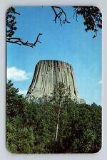 Devils Tower National Monument WY-Wyoming, The Devils Tower, Vintage Postcard picture
