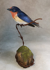Female Barn Swallow Original Wood Carving picture