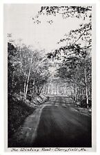 The Winding Road Cherryfield ME Maine RPPC E76 picture