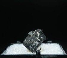 Perovskite on Magnetite / Perovskite Hill, Arkansas / Rare Thumbnail Mineral Cry picture