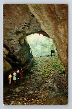 Mammoth Cave Natl Park KY-Kentucky, Historic Entrance to Cave, Vintage Postcard picture