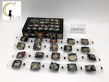 Jujutsu Kaisen Pin Lot Special Pins Set x20 Limited Rare NEW Japanese picture