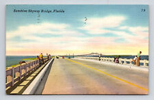 c1962 Linen Postcard St Petersburg FL Florida Sunshine Skyway Bridge Fisherman picture
