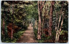 Postcard - Lake Harbor Woods Drive, Muskegon, Michigan picture