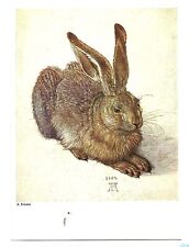 Vintage Postcard Art A. Durer The Hare Rabbit Animals Walter Classen Switzerland picture