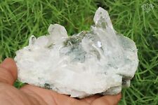 Natural Himalayan Samadhi Green Chlorite Rough 525 gm Healing Crystal Quartz picture