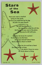 Postcard Stars of the Sea picture