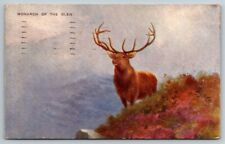 1950  Monarch of the Glen  Elk  Deer  Red Stag  Scotland   Postcard picture