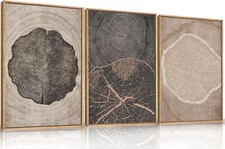 HPINUB Beige Tree Ring Framed Canvas Wall Art Set, Neutral Vintage Abstract Tree picture