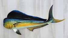 Mahi Hand Painted 28" Replica Dorado Wall Mount Sculpture Game Fish Salt Water picture