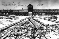 Roald Hoffmann autographed 4x6 photo Holocaust survivor WW II Rare COA LOOK picture