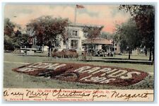 1906 George Greene Square Flowers Flag Cedar Rapids Iowa IA Posted Tree Postcard picture