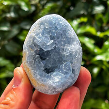 TOP 232G Natural Blue Crystal Cave Crystal  Egg  Healing W12 picture